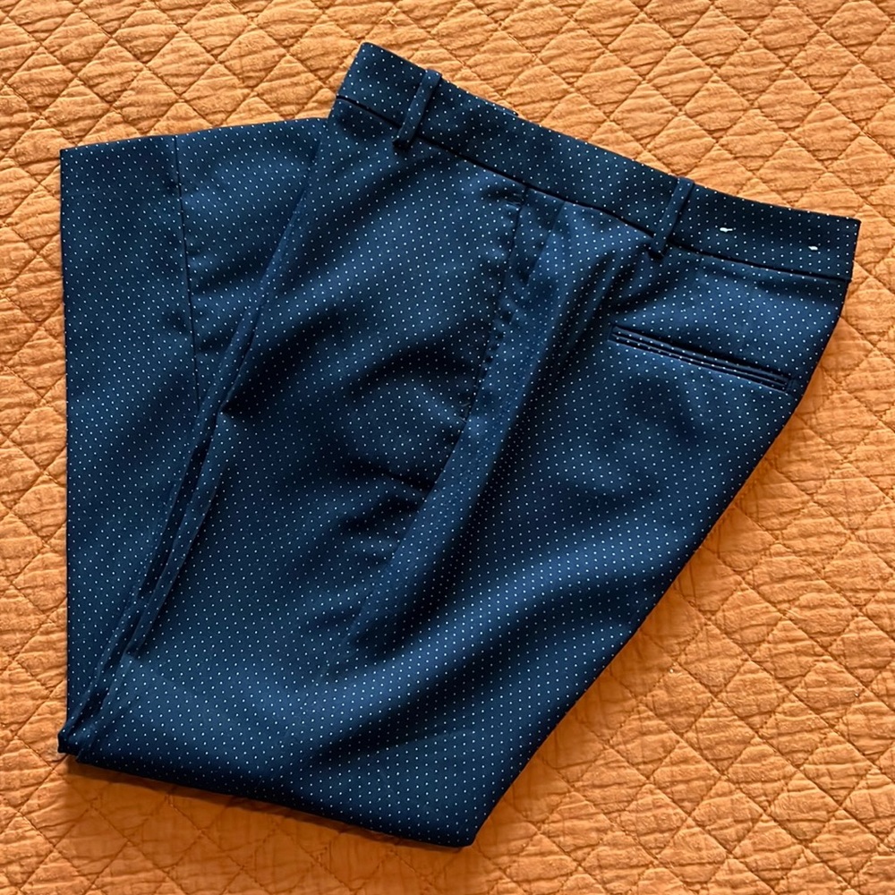 Ann Taylor Navy Dot ankle slacks 4p